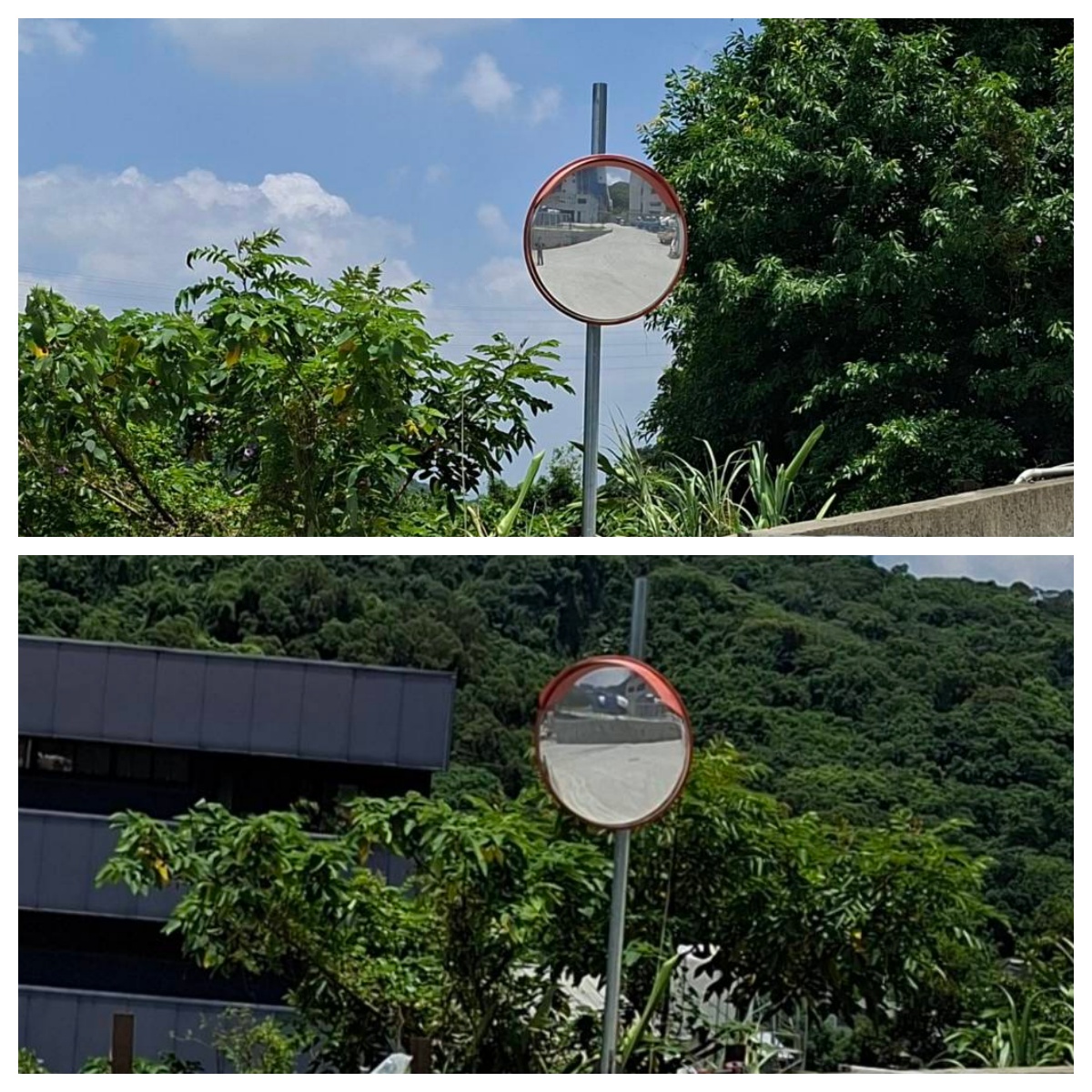新北市新莊區-公司行號照片